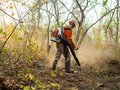 A man with a leaf blower navigates a wooded area.
